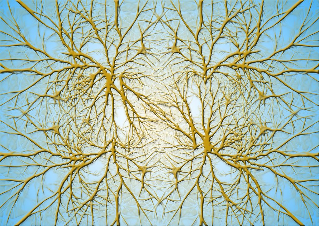 Illustration : cellules cérébrales neuronales